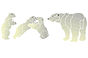 Szablony ze zwierzętami - Niedźwiedzie polarne