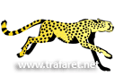 Szablony ze zwierzętami - Gepard