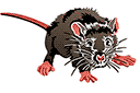 Szablony ze zwierzętami - Przestraszona mysz