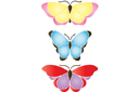 Szablony z motylami i ważkami - Duże motyle