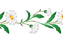 Szablony z kwiatami ogrodowymi i polnymi - Dzikie stokrotki (bordiur)