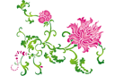 Szablony z kwiatami ogrodowymi i polnymi - Chińska chryzantema