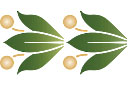 Szablony do bordiur z roślinami - Klasyczny wzór na bordiurę II