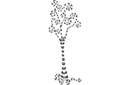 Szablony z drzewami i krzakami - Drzewo spiralne 1