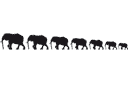 Szablony ze zwierzętami - Słonie Feng Shui