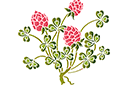 Szablony z kwiatami ogrodowymi i polnymi - Kwitnąca koniczyna 76-1