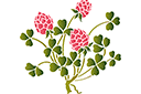Szablony z kwiatami ogrodowymi i polnymi - Kwitnąca koniczyna 76-2