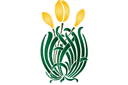 Szablony z kwiatami ogrodowymi i polnymi - Żółte tulipany