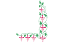 Szablony z kwiatami ogrodowymi i polnymi - Róg fuksji