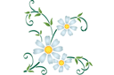 Szablony z kwiatami ogrodowymi i polnymi - Rumiankowy róg 43