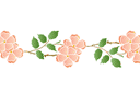 Szablony do bordiur z roślinami - Bordiur z dzikiej róży 48b