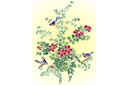 Szablony z kwiatami ogrodowymi i polnymi - Kwiaty i ptaki 29