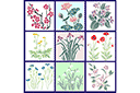 Szablony z kwiatami ogrodowymi i polnymi - Zestaw kwiatów 52