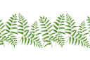 Szablony z liśćmi i gałęziami - Bordiur z paproci 12