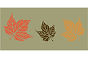 Szablony z liśćmi i gałęziami - Trzy liście klonu