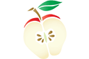 Szablony z żywnością i naczyniami - Połowa jabłka