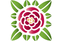 Szablony z kwiatami ogrodowymi i polnymi - Róża w stylu secesyjnym 761