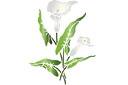 Szablony z kwiatami ogrodowymi i polnymi - Duże lilie kalinowe A
