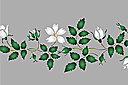 Szablony do bordiur z roślinami - Owoc białej róży - bordiur