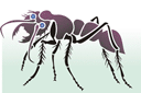 Szablony z owadami i insektami - Wielka mrówka