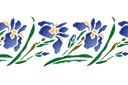 Szablony z kwiatami ogrodowymi i polnymi - Orientalny irys bordiur