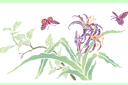 Szablony z kwiatami ogrodowymi i polnymi - Lilie i motyle