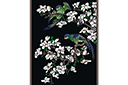 Szablony z kwiatami ogrodowymi i polnymi - Papugi na magnolii