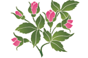 Szablony z kwiatami ogrodowymi i polnymi - Różowy motyw