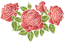 Szablony z ogrodem i dzikimi różami - Szkarłatne róże 2