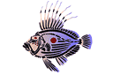 Szablony z fokusami - Dziwna ryba