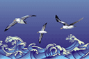 Bordiury z motywami morskimi - Burza i albatrosy