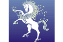 Szablony z fokusami - Biały koń