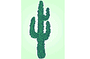 Szablony latynoamerykańskie - Kaktus