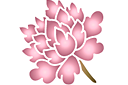 Szablony z kwiatami ogrodowymi i polnymi - Chiński kwiat 4