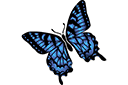 Szablony z motylami i ważkami - Duży jaskółczy ogon