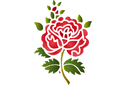Szablony z ogrodem i dzikimi różami - Róża ludowa 11a