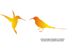 Dwa kolibry - szablon do dekoracji