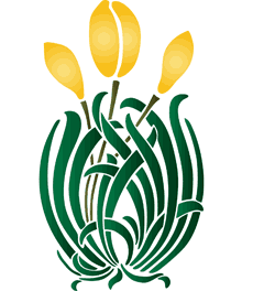 Żółte tulipany - szablon do dekoracji