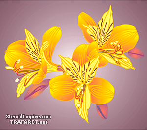 Alstroemeria - szablon do dekoracji