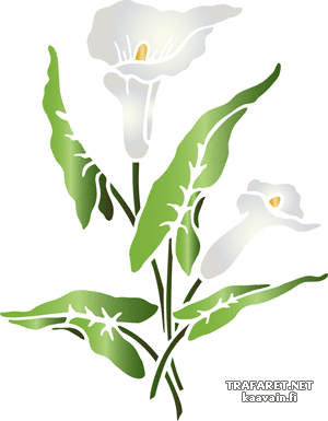 Duże lilie kalinowe A (Szablony z kwiatami ogrodowymi i polnymi)