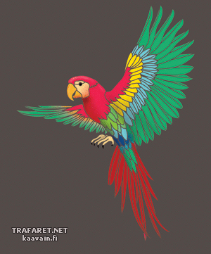 Latająca papuga - szablon do dekoracji