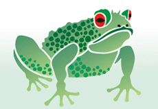 Duża żaba - szablon do dekoracji