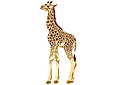 Mała żyrafa - szablony ze zwierzętami