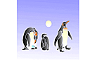 Rodzina pingwinów - szablony ze zwierzętami