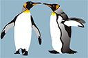 Cztery pingwiny - szablony ze zwierzętami