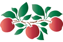 Motyw jabłkowy - szablony z owocami i jagodami