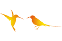 Dwa kolibry - szablony z sylwetkami i konturami