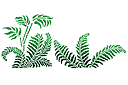 Paproć - szablony z roślinami i zwierzętami z dżungli