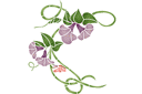 Wiązówka i motylek - szablony z kwiatami ogrodowymi i polnymi