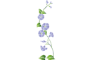 Kwiat dzwonka - szablony z kwiatami ogrodowymi i polnymi